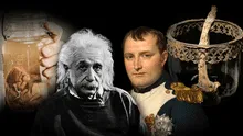 El pene de Napoleón y el cerebro de Einstein: los tesoros más raros que guarda la historia