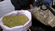 Cusco: sujeto comercializaba marihuana por delivery
