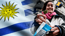 ¿Cómo Uruguay se convirtió en el primer país del mundo en legalizar la marihuana?