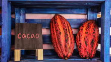 Exportaciones de cacao y chocolate peruano superaron los US$ 192 millones hasta julio 