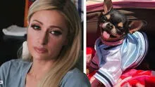 Paris Hilton contrató a 7 psíquicos de mascotas para encontrar a su perro desaparecido