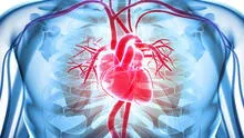 La ‘hormona del amor’ podría reparar corazones dañados, sugiere estudio