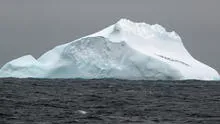 Descubren bajo la Antártida ADN de hace un millón de años