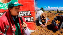 Patricia Ocampo: “Esperamos entregar esta semana la buena pro de la compra de urea”