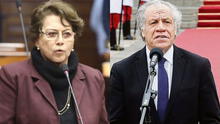 Gladys Echaíz: “Los miembros de la OEA no están informados de lo que pasa en cada país”