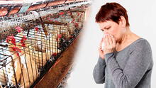 Junín: Minsa tiene en observación a 2 niños ante posible contagio de gripe aviar
