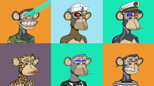 ¿Qué pasó con los Bored Ape, los NFT de monos que causaban sensación en internet?