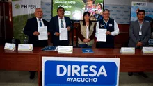 Fortalecen estrategias para la lucha contra la anemia infantil en Ayacucho
