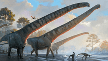 Fósil de dinosaurio con cuello de 15 metros desconcierta a los científicos