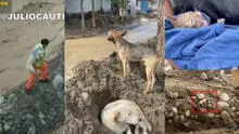 Vecinos rescatan animales abandonados por familias y afectados por los huaicos en Lima