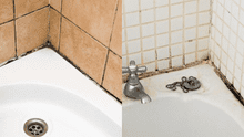 ¿Cómo eliminar el moho de la ducha y paredes del baño? Estos 3 trucos te ayudarán a conseguirlo