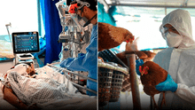 China confirma un tercer caso de gripe aviar H3N8 en humanos
