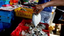 Terminal pesquero Callao: hacen largas colas de 2 horas para comprar bonito, tilapia, pota y más