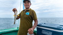Piura: pescadores implementan la pesca resiliente y el turismo sostenible