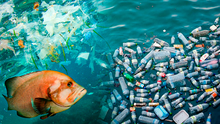 “Más plásticos que peces”: ONU advierte que desechos en los océanos se triplicarían para el 2050