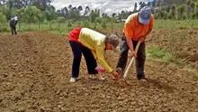 Bono Recupérate Ya: plazo para cobrar subsidio vence el 25 de abril