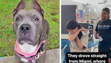 Familia se reencuentra con su perra que estuvo perdida 301 días: “Nunca pensé en volver a verla”