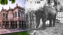 El sangriento final del guardián japonés que convivió con Charles, el elefante del Parque de la Exposición