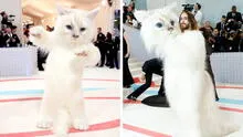 Jared Leto impacta al aparecer vestido de gato en la MET Gala 2023: ¿por qué hizo esto el actor?