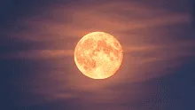 Eclipse lunar HOY, EN VIVO: a qué hora y cómo ver el eclipse de la luna de flores
