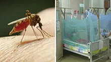 Dengue en Perú: ¿cuáles son las regiones con mayor contagio de la enfermedad?, esto dice el Minsa