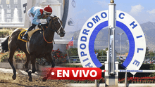 Hipódromo Chile EN VIVO: sigue AQUÍ los resultados de las carreras de HOY, 20 de mayo