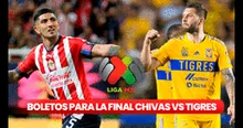 Final Chivas vs. Tigres: ¿cómo comprar los boletos y cuáles son los precios?