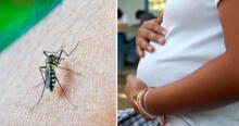 Dengue en Perú: ¿cuáles son las consecuencias en mujeres gestantes?