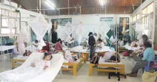 Colegio Médico del Perú no cree que dengue bajará en 15 días como dice ministra