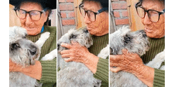 ¡Apareció Raylu! Adulta mayor de 103 años encontró a su perrito perdido en Ate