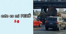 Dinosaurio se atora bajo puente Acho, causa caos vehicular y usuarios reaccionan: "Solo en Perú"