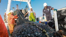 Produce cancela primera temporada de pesca industrial