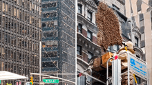 Millones de abejas invaden Nueva York: autoridades cercan el Times Square para removerlas