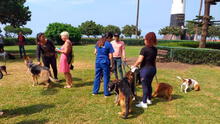 Miraflores: dueños que paseen perros de raza peligrosa sin bozal pagarán multa de S/1.000