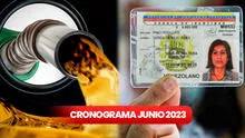 Gasolina subsidiada: cronograma por número de cédula del 20 al 30 de junio