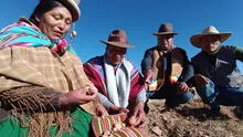 Escasez de alimentos en Puno por sequía: un problema que los agricultores muestran al Gobierno