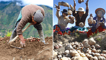 ¿El Día del Campesino es feriado en Perú?
