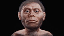 Científicos reconstruyen el rostro del 'Hobbit', nuestro primo enano extinto hace 50.000 años