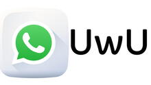 WhatsApp: ¿Qué significa "UwU" y por qué se ha vuelto tan popular en las conversaciones?