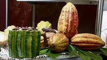 Cacao peruano llega a más de 70 mercados a nivel mundial
