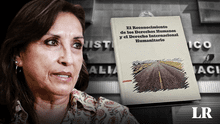 Dina Boluarte: delito por presunto plagio es penado con hasta 4 años de cárcel