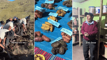 Campesino de Huancavelica crea 3 nuevas variedades de papa y es viral: "Un gran legado"