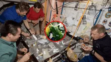 ¿Qué comen los astronautas y por qué le ponen picante a sus alimentos?