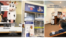 Empresa de leche invita a sus instalaciones a universitarios que expusieron disfrazados de vaca