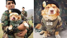 La historia de 'Chato', el perro militar que hace paracaidismo y se lució en la Parada Militar