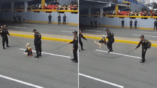 Perrito policía salta soga en Desfile Militar y se vuelve viral en redes: “Hace más ejercicio que yo”