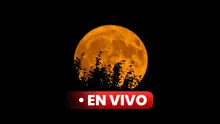 ¿A qué hora ver la superluna hoy? Mira EN VIVO la luna llena de agosto 2023 en México, Colombia y Argentina