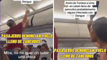 Denuncian que avión de LATAM viajaba de Tumbes a Lima infestado de zancudos
