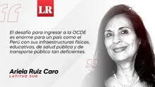 El poderoso encanto de la OCDE , por Ariela Ruiz Caro