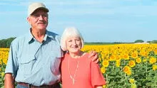 “Regalo perfecto”: hombre planta un millón de girasoles para su esposa por su 50 aniversario de bodas
